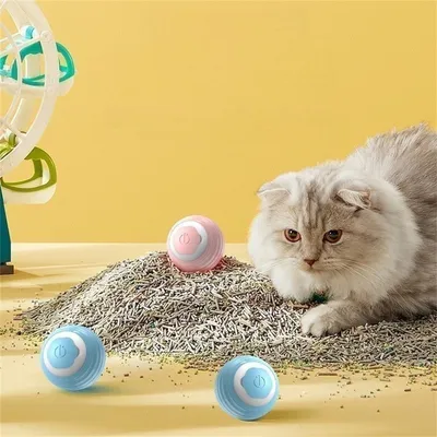 Petopia Bille intelligente pour chat