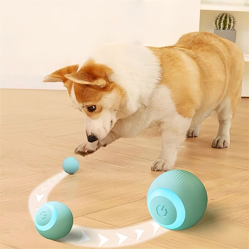 Petopia Bille intelligente pour chat