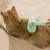FurryFusion Brosse autonettoyante pour chiens et chats