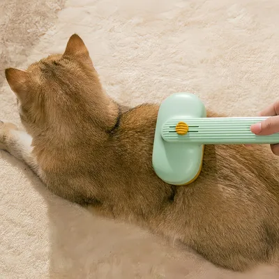 FurryFusion Brosse autonettoyante pour chiens et chats