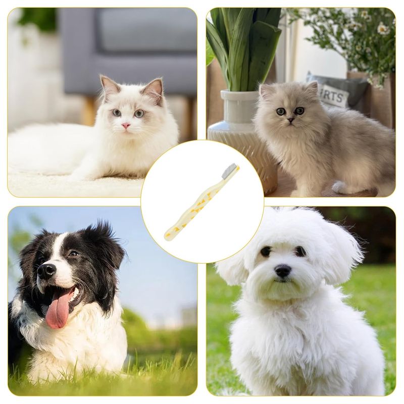 UAMLY Peigne pour chat à pointes arrondies