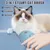 IntiMeg Brosse À Vapeur Pour Chat Chien 3 En 1