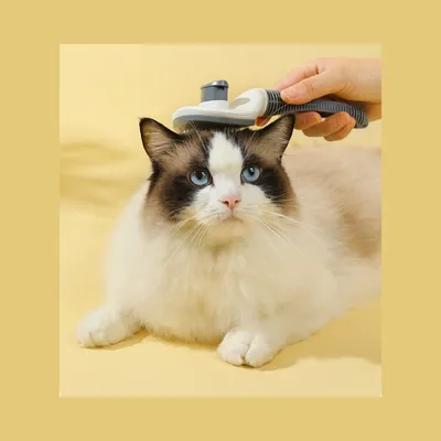 Petopia Peigne pour éliminer les poils des animaux de compagnie