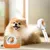 Pet Planet Peigne auto-nettoyant