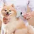 Pet Planet Peigne multifonction pour chats et chiens