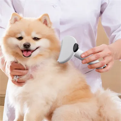 Pet Planet Peigne multifonction pour chats et chiens