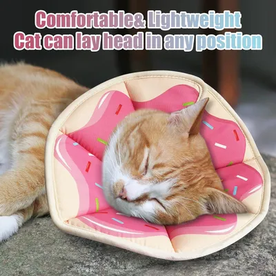 UAMLY Collier réglable pour chat, collier de récupération UAMLY Collier réglable pour chat, collier de récupération