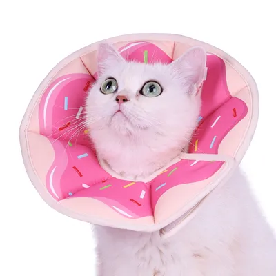 UAMLY Collier réglable pour chat, collier de récupération UAMLY Collier réglable pour chat, collier de récupération