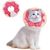 UAMLY Collier réglable pour chat, collier de récupération