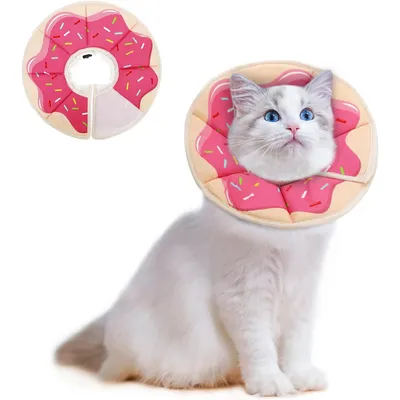 UAMLY Collier réglable pour chat, collier de récupération UAMLY Collier réglable pour chat, collier de récupération