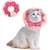 UAMLY Collier réglable pour chat, collier de récupération UAMLY Collier réglable pour chat, collier de récupération