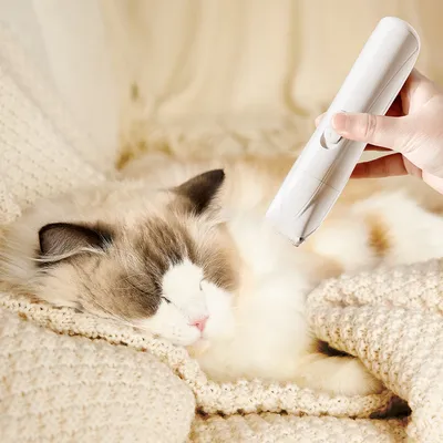 Petopia Ensemble de tondeuse pour animaux de compagnie 3 en 1