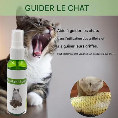 Pet Planet Spray d'extrait de galle de matatabi pour chats 2 bouteilles