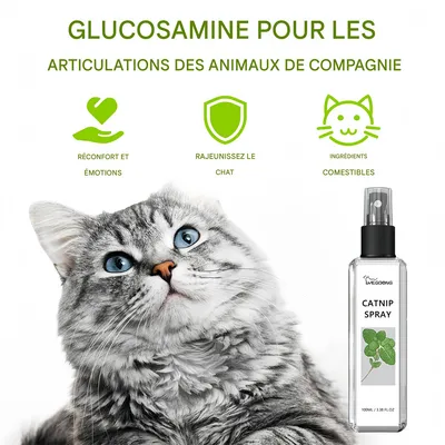 Pet Planet Spray de nepeta pour chats 100ml
