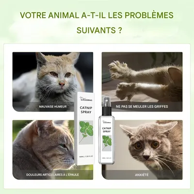 Pet Planet Spray de nepeta pour chats 100ml