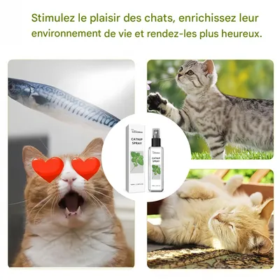 Pet Planet Spray de nepeta pour chats 100ml