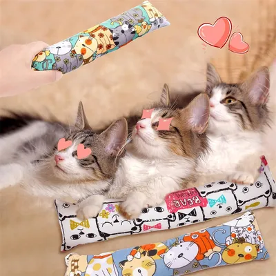 Pet Planet Oreiller au catnip pour chats