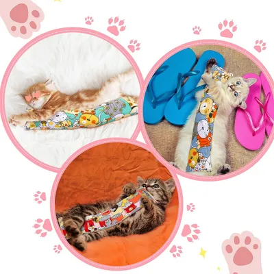 Pet Planet Oreiller au catnip pour chats