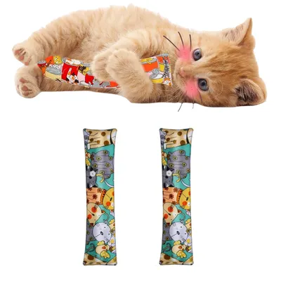 Pet Planet Oreiller au catnip pour chats
