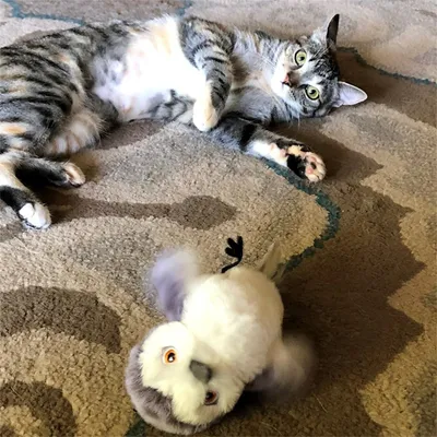 Pet Planet Jouet oiseau battant pour chat