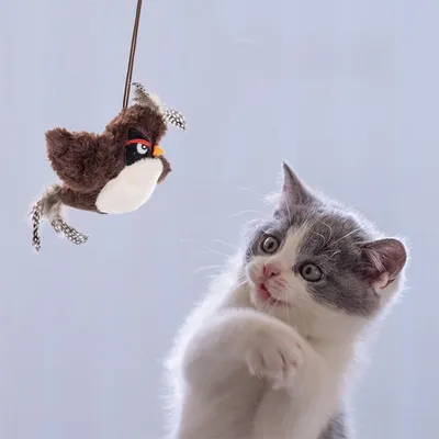 Pet Planet Jouet d'oiseau électrique pour chatons