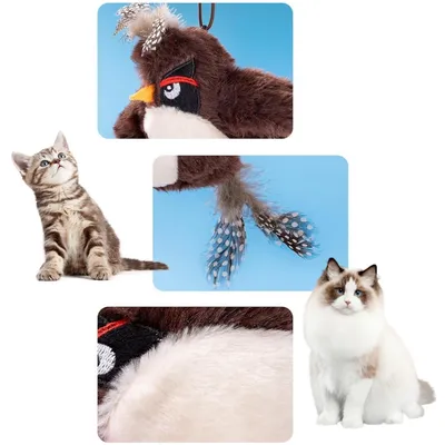 Pet Planet Jouet d'oiseau électrique pour chatons