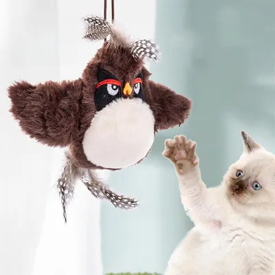 Pet Planet Jouet d'oiseau électrique pour chatons