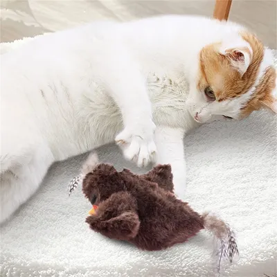 Pet Planet Jouet d'oiseau électrique pour chatons