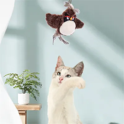 Pet Planet Jouet d'oiseau électrique pour chatons