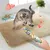 Pet Planet Oreiller au catnip pour chats