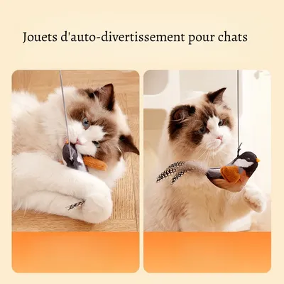 Petopia Jouet d'oiseau simulé pour chat