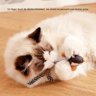 Petopia Jouet d'oiseau simulé pour chat