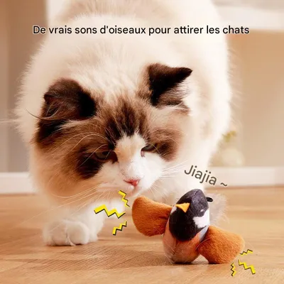 Petopia Jouet d'oiseau simulé pour chat