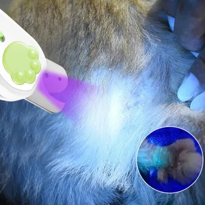 Petopia Cat Nail Clipper