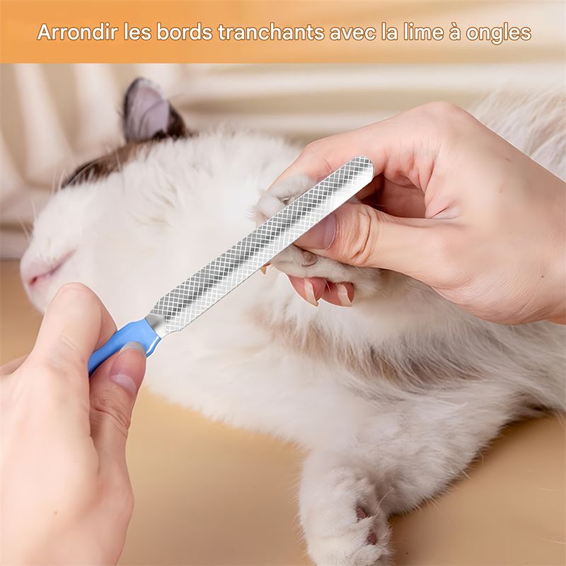 Pet Planet Tondeuse d'ongles pour chien et chat