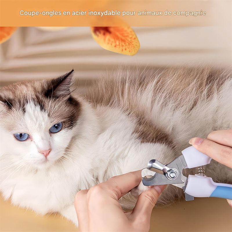 Pet Planet Tondeuse d'ongles pour chien et chat