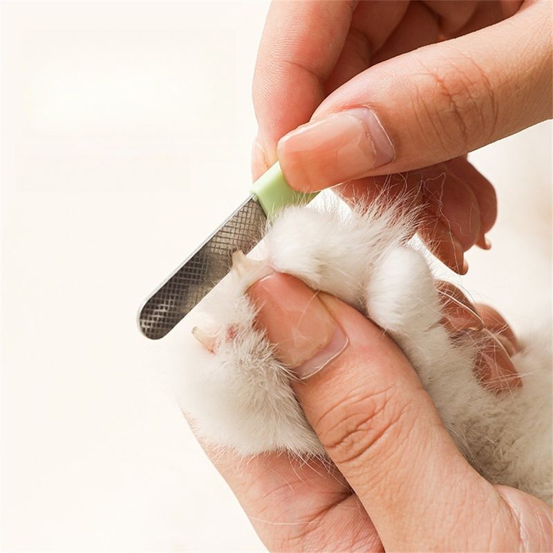 Pet Planet Coupe - ongles 3 en 1 pour chien et chat