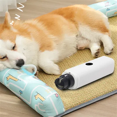 Pet Planet Ponceuse à ongles électrique avec LED