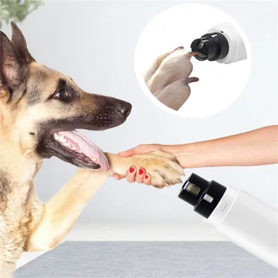 Pet Planet Ponceuse à ongles électrique avec LED