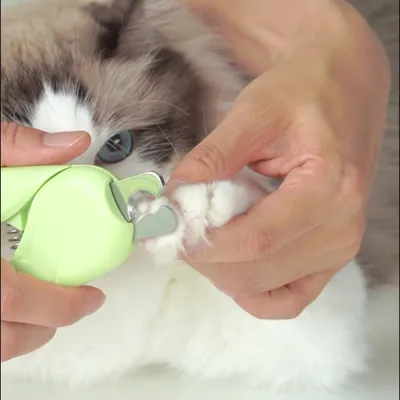 Petopia Tondeuse d'ongles pour animaux de compagnie