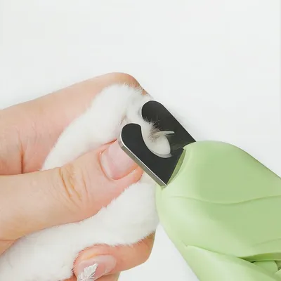 Petopia Tondeuse d'ongles pour animaux de compagnie