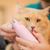 Pet Planet Ponceuse multifonctionnelle d'ongles pour chien et chat