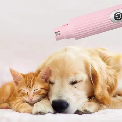 Pet Planet Ponceuse multifonctionnelle d'ongles pour chien et chat