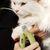 Petopia Ciseaux de coupe griffes pour chien et chat