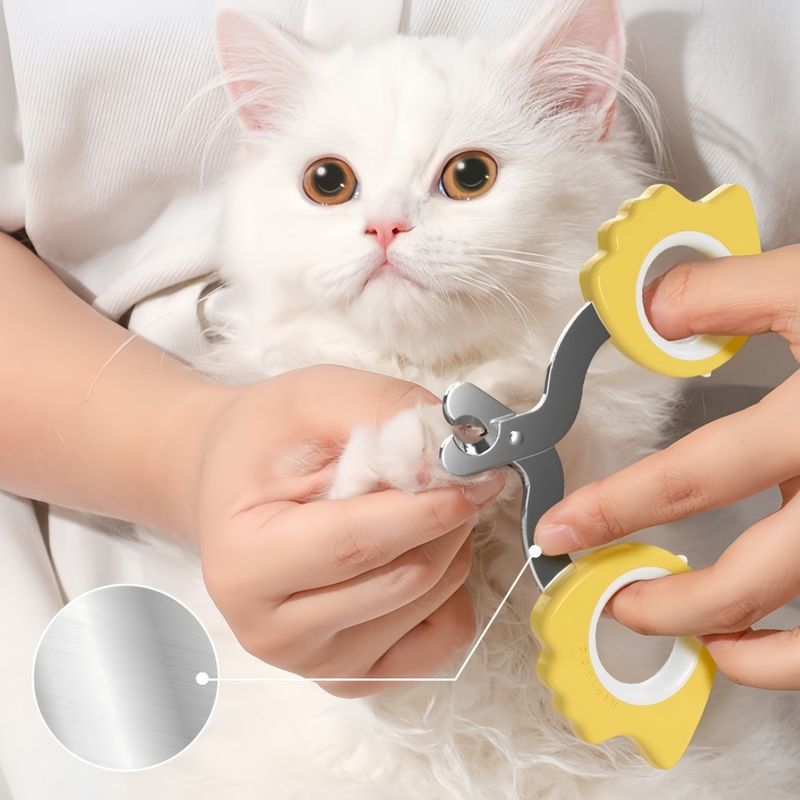 FurryFusion Coupe-griffes pour chats et chiens Owl