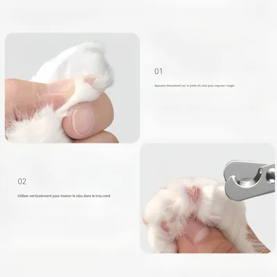 FurryFusion Coupe-griffes pour chats et chiens Owl