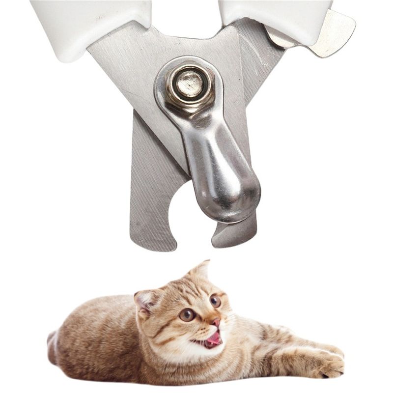 Pet Planet Tondeuse d'ongles pour chien et chat