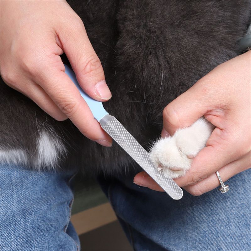 Pet Planet Tondeuse d'ongles pour chien et chat