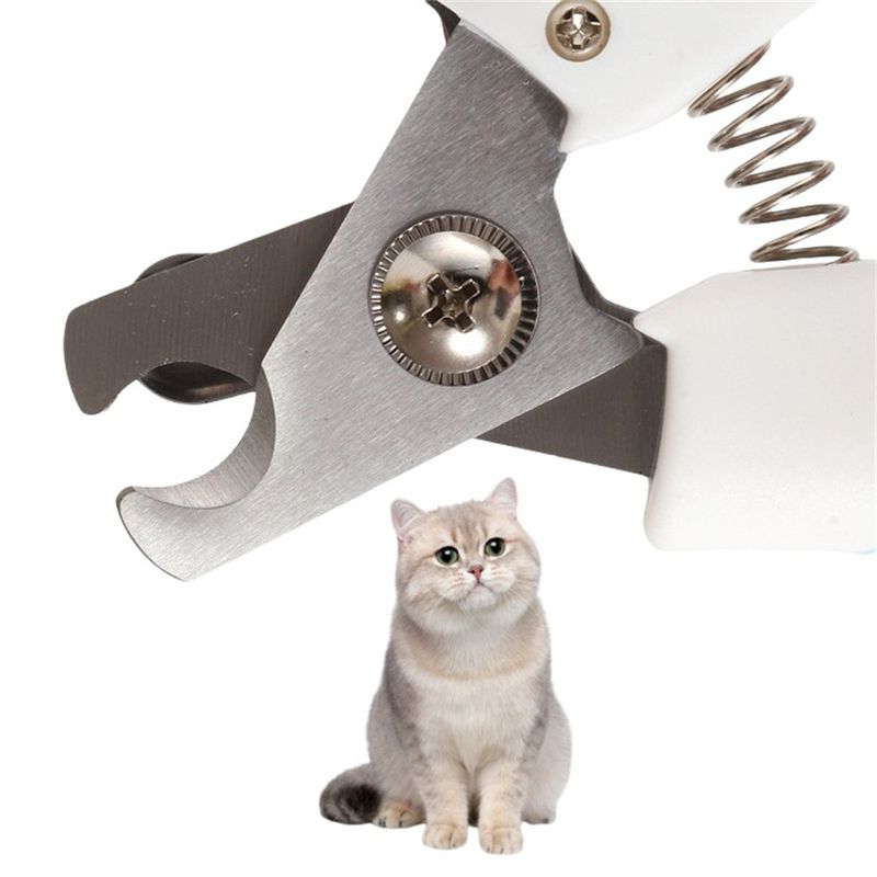 Pet Planet Tondeuse d'ongles pour chien et chat
