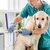 Petopia Ciseaux de coupe griffes pour chien et chat